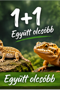 www.teknosvilag.hu