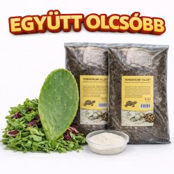 teknős föld mint kulcsszó