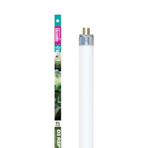 arcadia mint kulcsszó