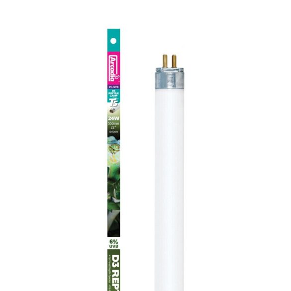 arcadia mint kulcsszó