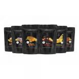 GECKO NUTRITION EPRES GEKKÓ TÁP 100g