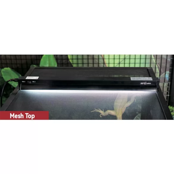 DragonOne Pro T5 Desert UVB Kit 10.0 8W Sivatagi világítás szett | 30 cm