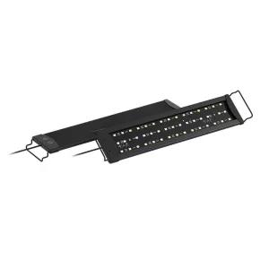 LED UVB mint kulcsszó