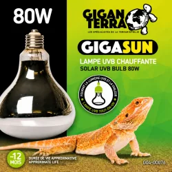 GiganTerra Gigasun UVB és melegítő izzó egyben | 80W