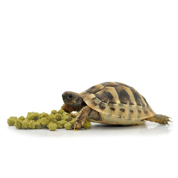 HabiStat Tortoise Food Banana Szárazföldi teknős eledel | 800g