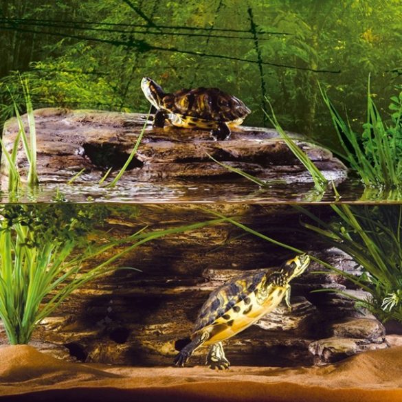 ExoTerra Turtle Cliff M (23x17x19,5)