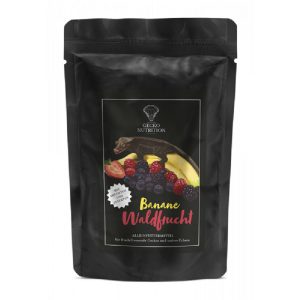GECKO NUTRITION ERDEI GYÜMÖLCSÖS GEKKÓ TÁP 250 g