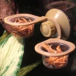 NomoyPet rögzíthető dupla etetőtál üvegre (Double Hanging Feeder)