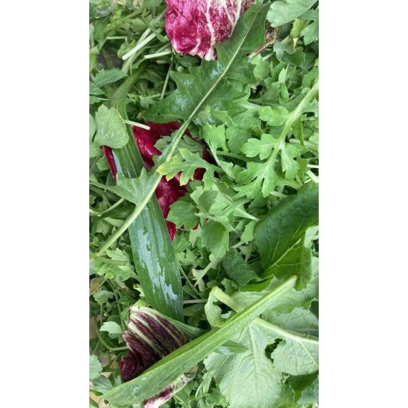 Friss zöldtakarmány, fügekaktuszfalatok és táplálékkiegészítő (40g)