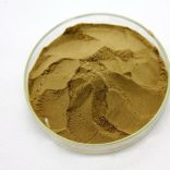 fügekaktusz por mint kulcsszó