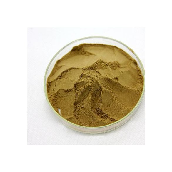 fügekaktusz por mint kulcsszó