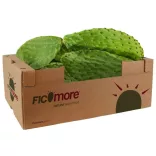 fügekaktusz por mint kulcsszó
