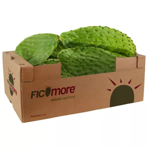 fügekaktusz por mint kulcsszó
