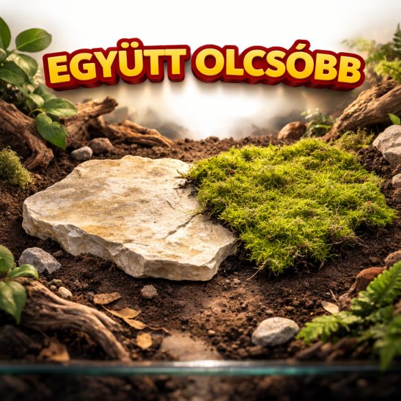Napoző kő és Terráriumi moha egy csomagban (M)