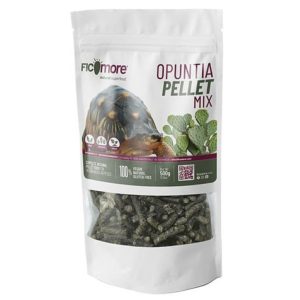 teknőskaja mint kulcsszó