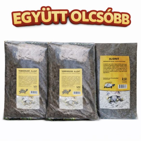 teknős föld mint kulcsszó